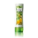 Kondicionér pro mastné vlasy s kopřivou a citrónem Nature Secrets