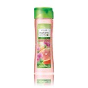 Šampón proti lupům s lopuchem a grapefruitem Nature Secrets
